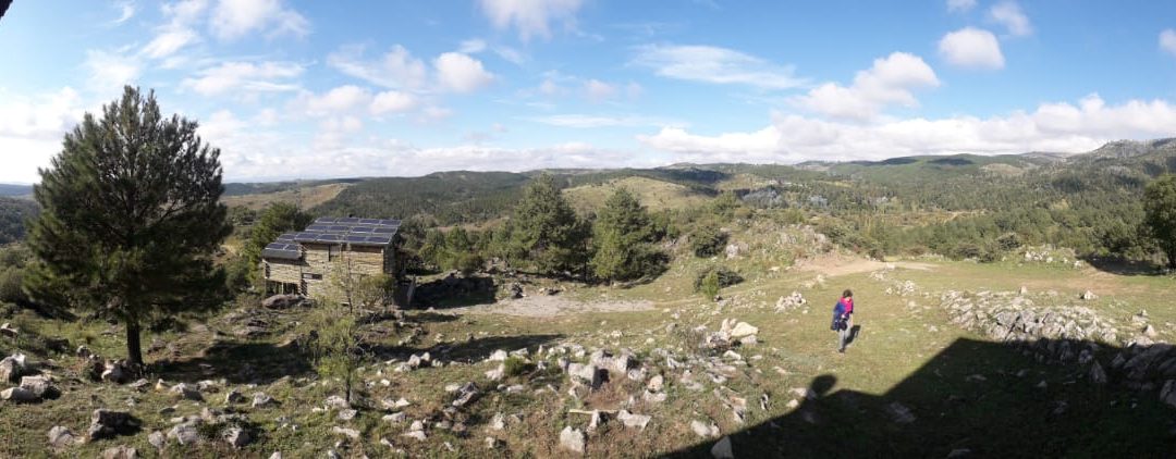 Svegliati sulla terra