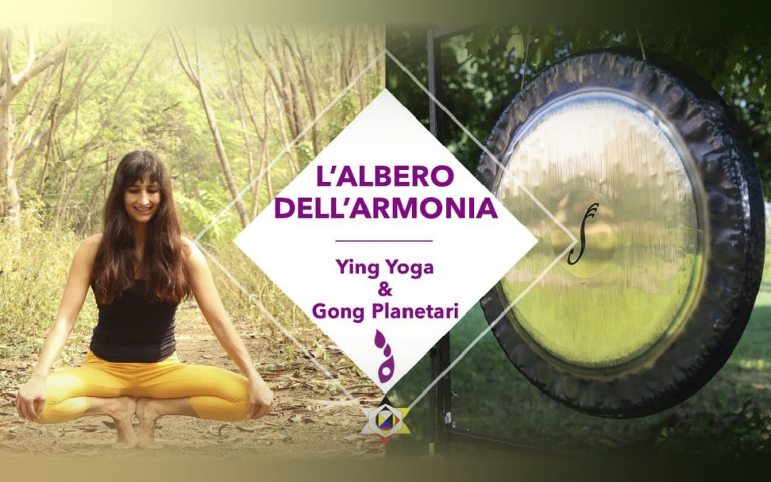 L’Albero dell’Armonia – Yin Yoga & Gong Planetari
