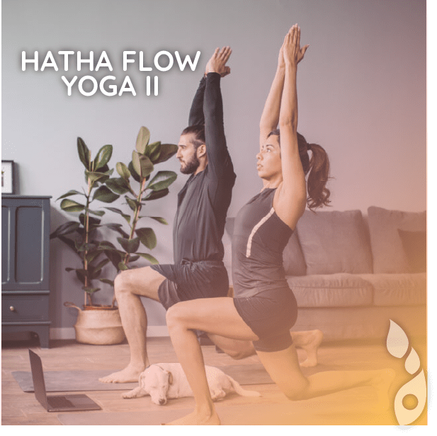 45 minuti – Hatha Flow Yoga II