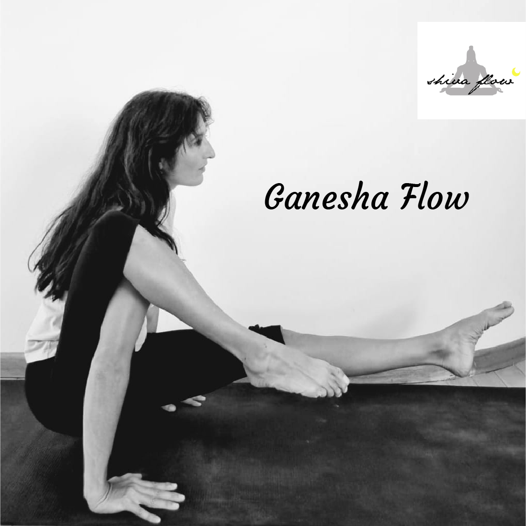 Teacher Training Shiva Flow In Flow Yoga