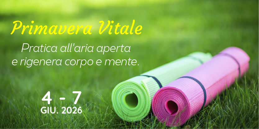 Banner Fechas Especiales